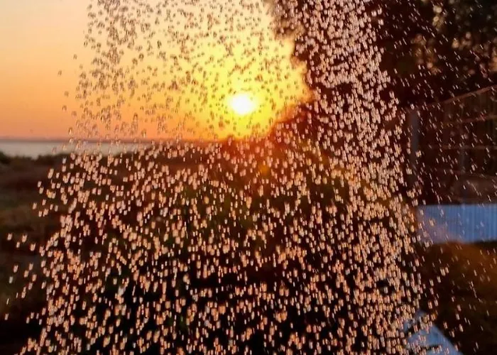 Modern Elegant Escape On The Ionian Coast, Near Ancient Olympia Katakolo